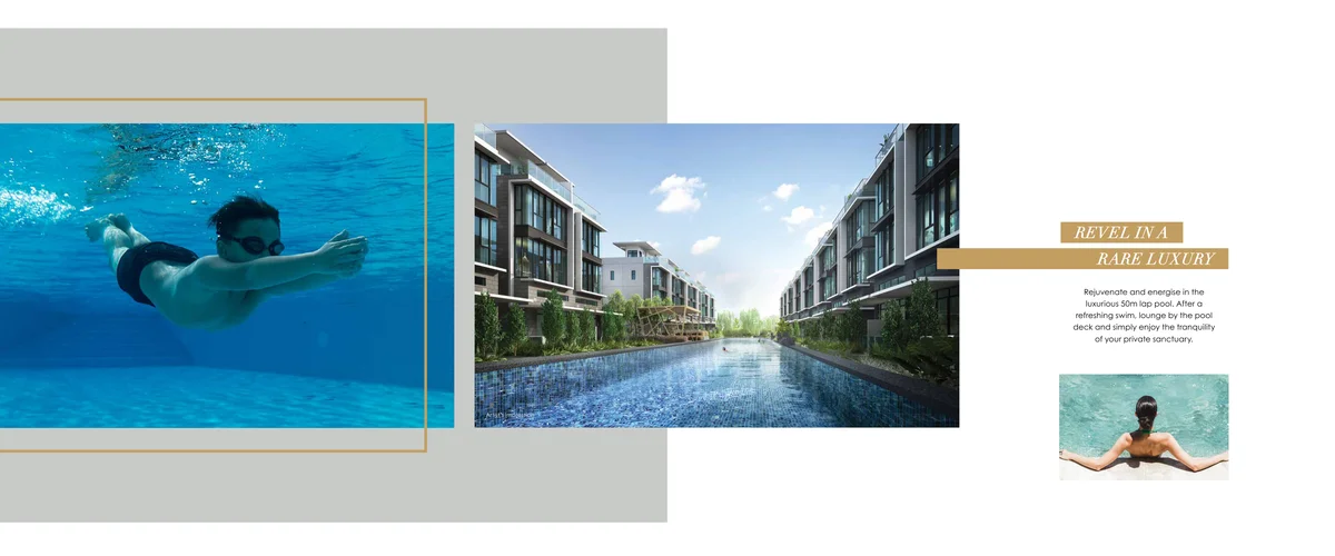Belgravia Ace 50-metre lap pool and sun loungers flanked by verdant landscaped gardens